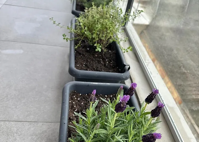 公寓 Lux Hub Spot-νear European Uni Engomi